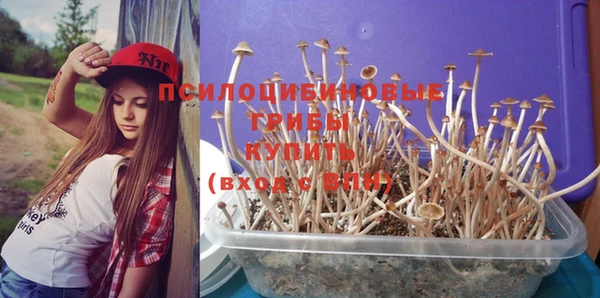 бутират Бородино