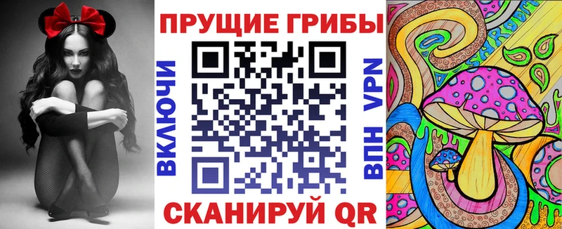 Галлюциногенные грибы Magic Shrooms  ОМГ ОМГ как войти  Лыткарино 